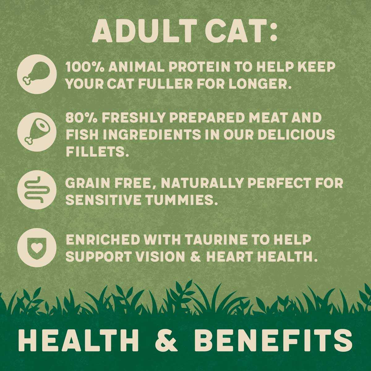 Complete Grain-Free Adult Mixed Selection in Jelly Wet Cat Food Bumper Pack 40x85g - Image 5